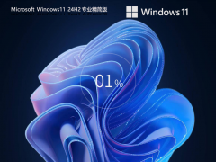 Windows11 24H2 64位 专业精简版镜像 
