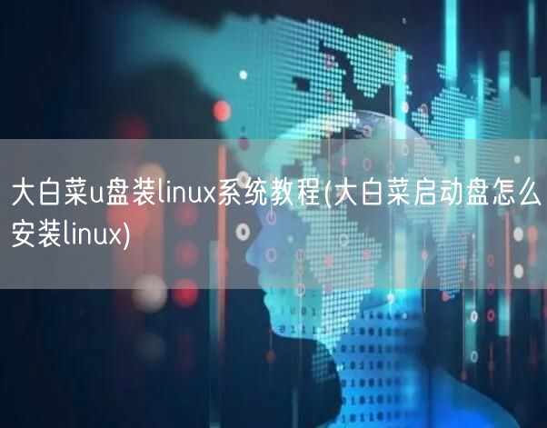 大白菜u盘装linux系统教程(大白菜启动盘怎么安装linux)