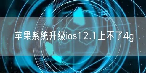 苹果系统升级ios12.1上不了4g