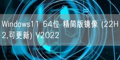 Windows11 64位 精简版镜像 (22H2,可更新) V2022