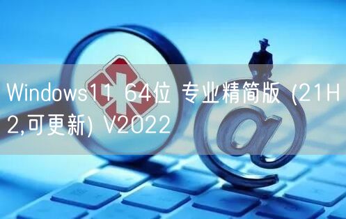 Windows11 64位 专业精简版 (21H2,可更新) V2022